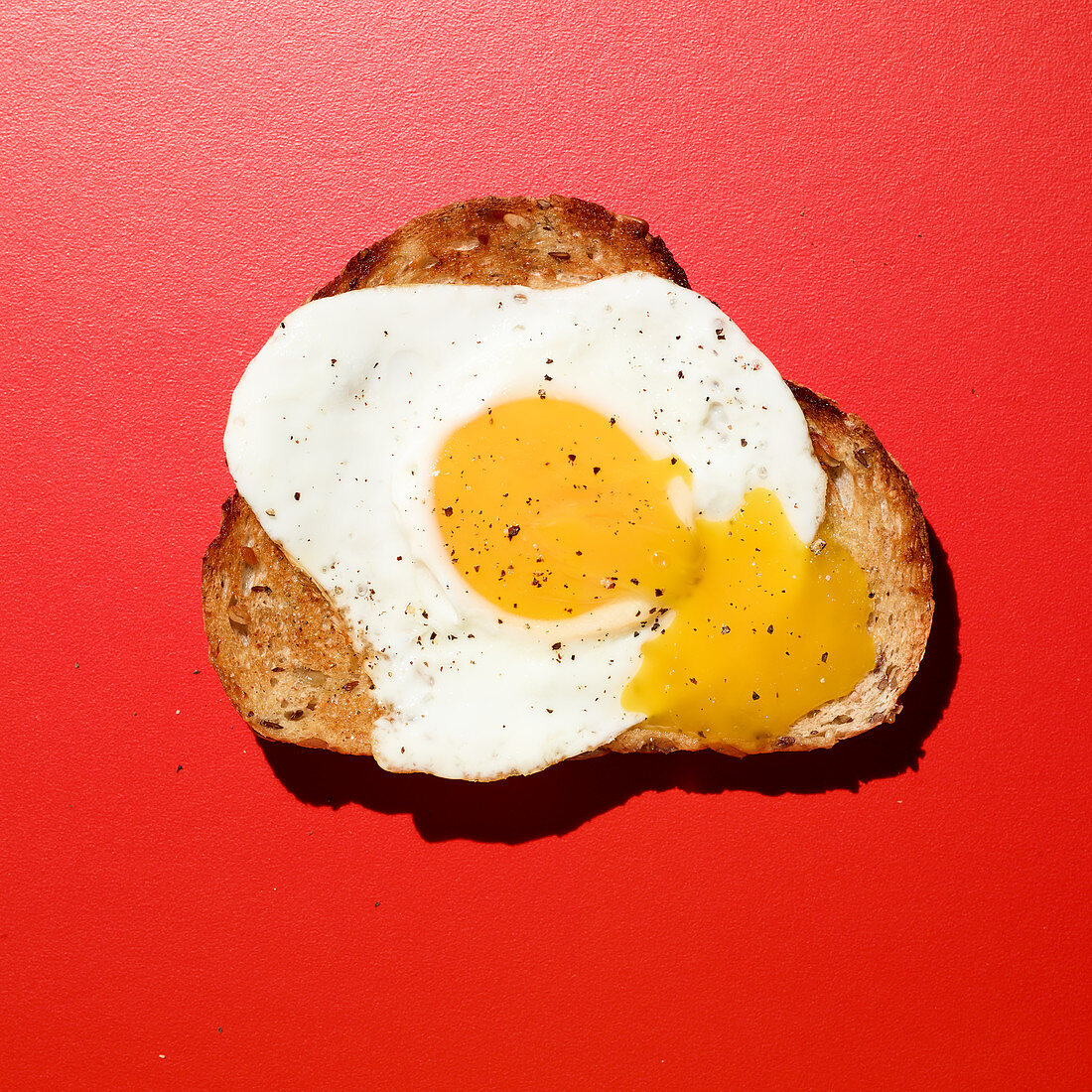 Toastscheibe mit Spiegelei