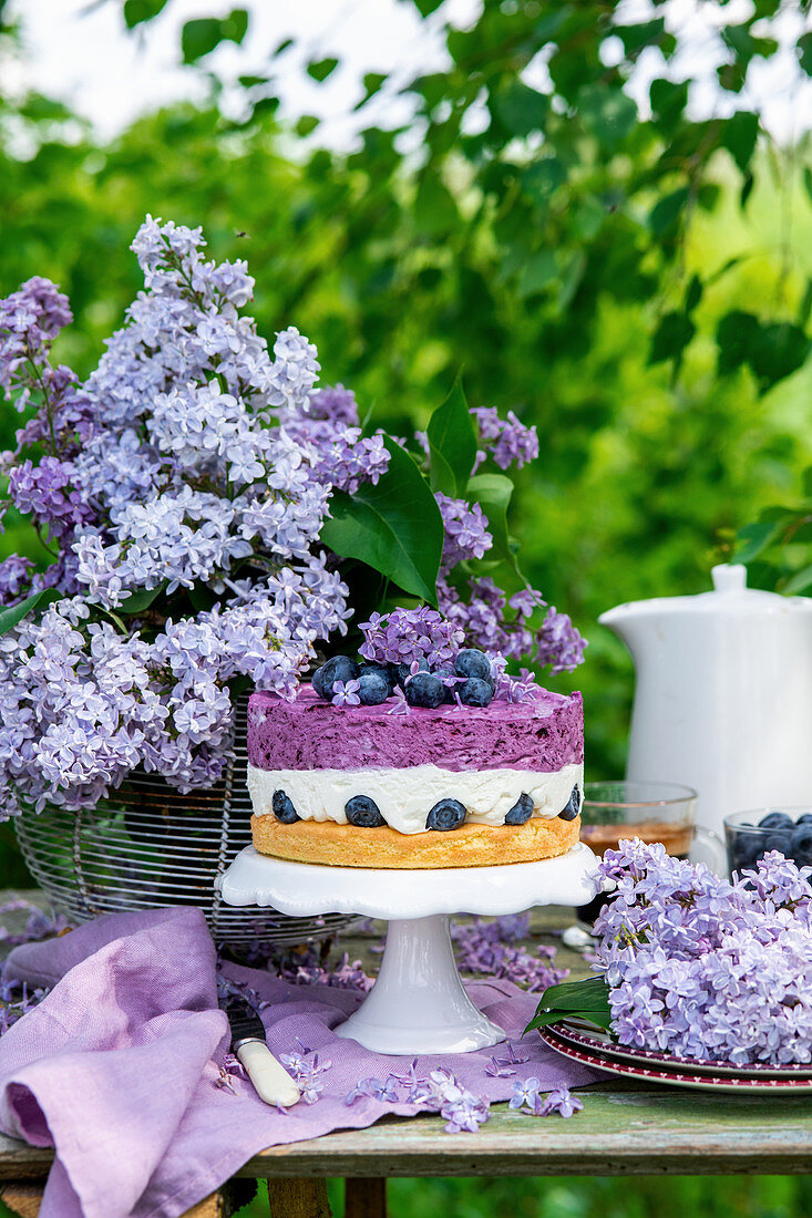 Blueberry cake with cream cheese mousse