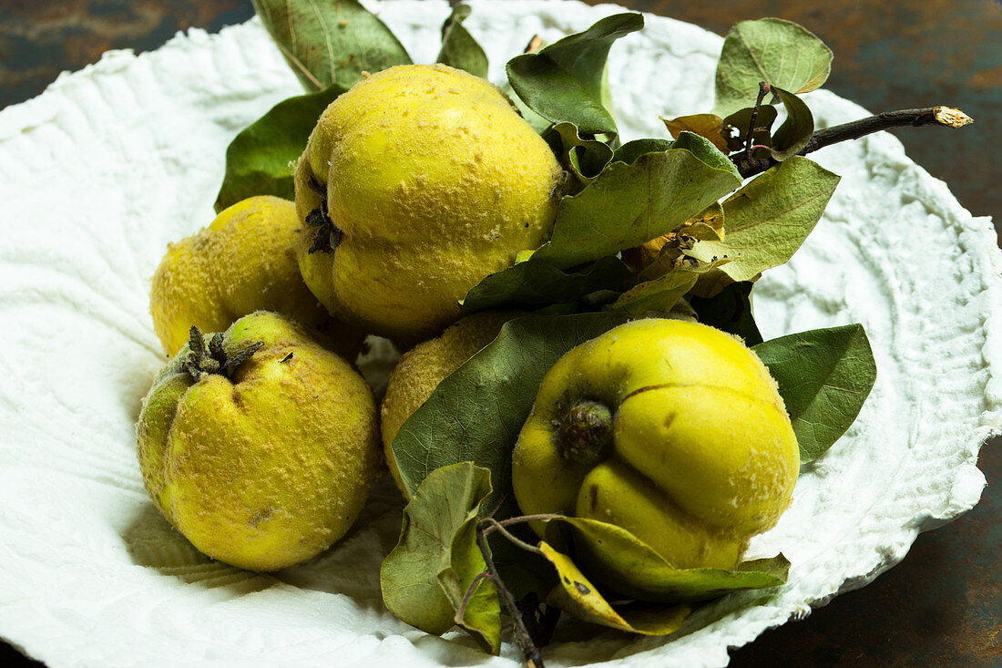 Apple quince on a handmade paper plate