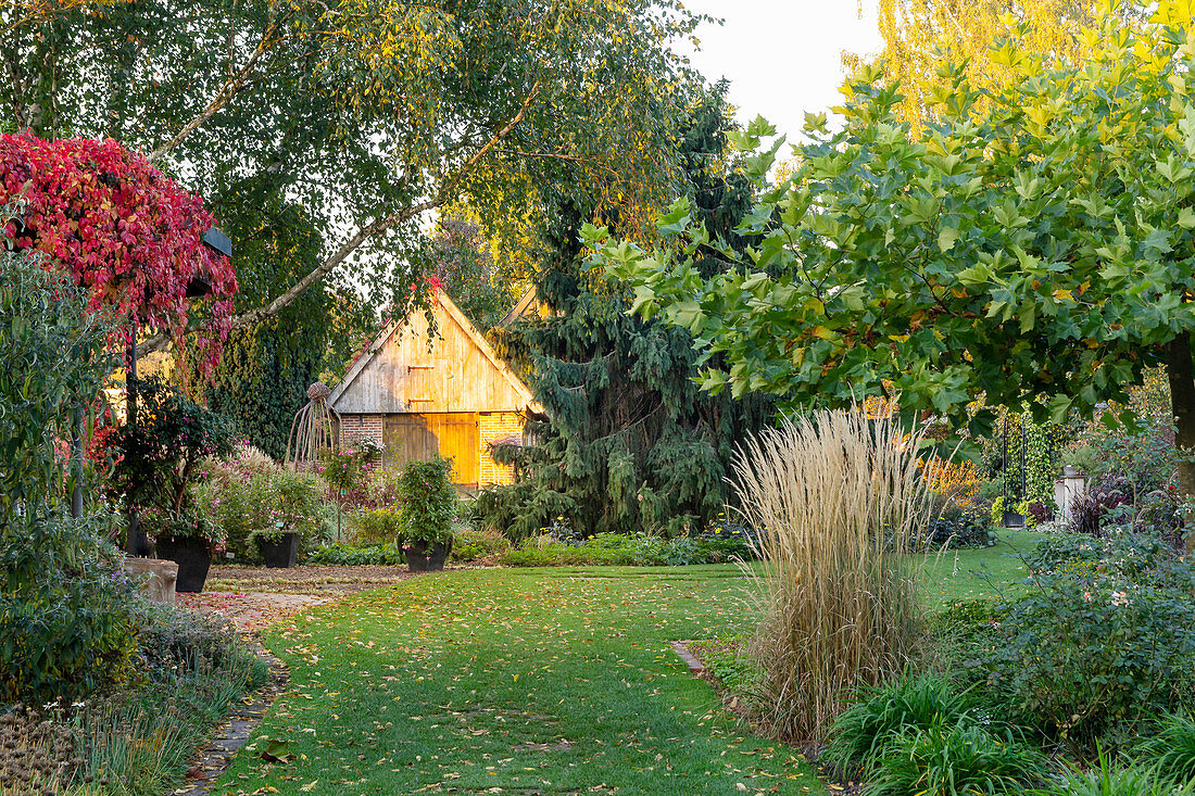 Cotter's house (old farmhouse in district teaching garden, Steinfurt, Germany)