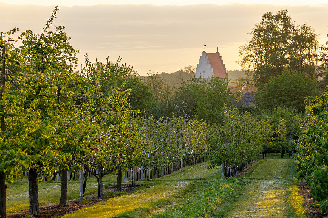 Orchards (district teaching garden, Steinfurt, Germany)