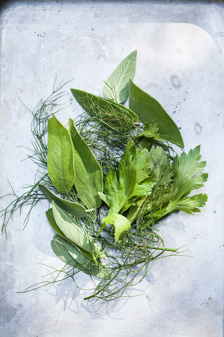 Various fresh herb leaves