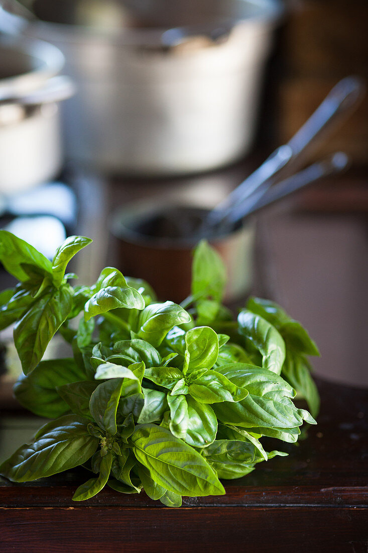 Fresh basil on a wooden table
