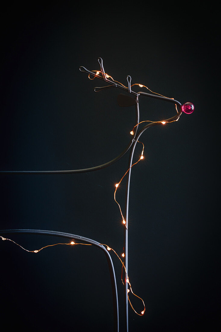 Wire reindeer with fair lights