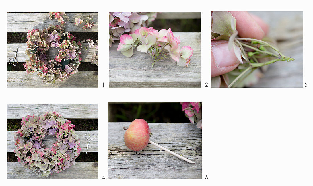 Tying a wreath of hydrangeas and apples