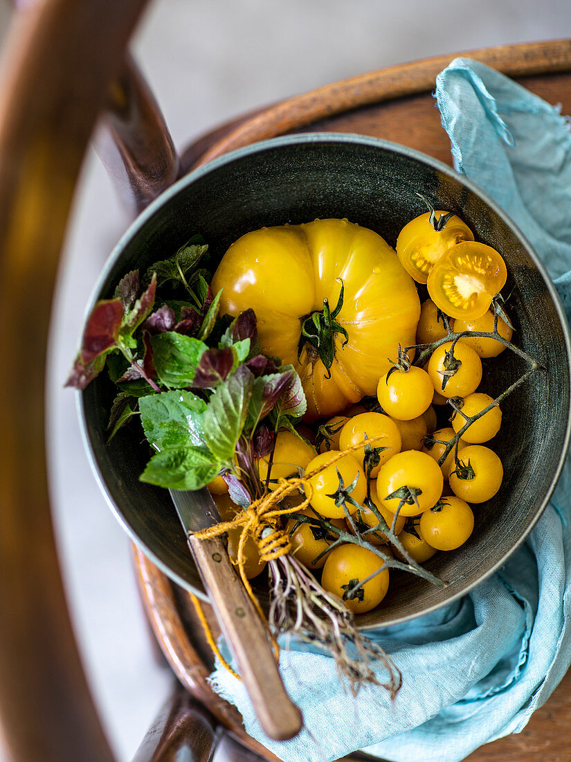 Gelbe Tomaten und Kräuterbund in Schüssel