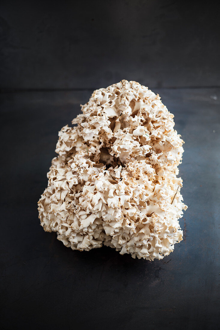 Sparassis (cauliflower mushroom)
