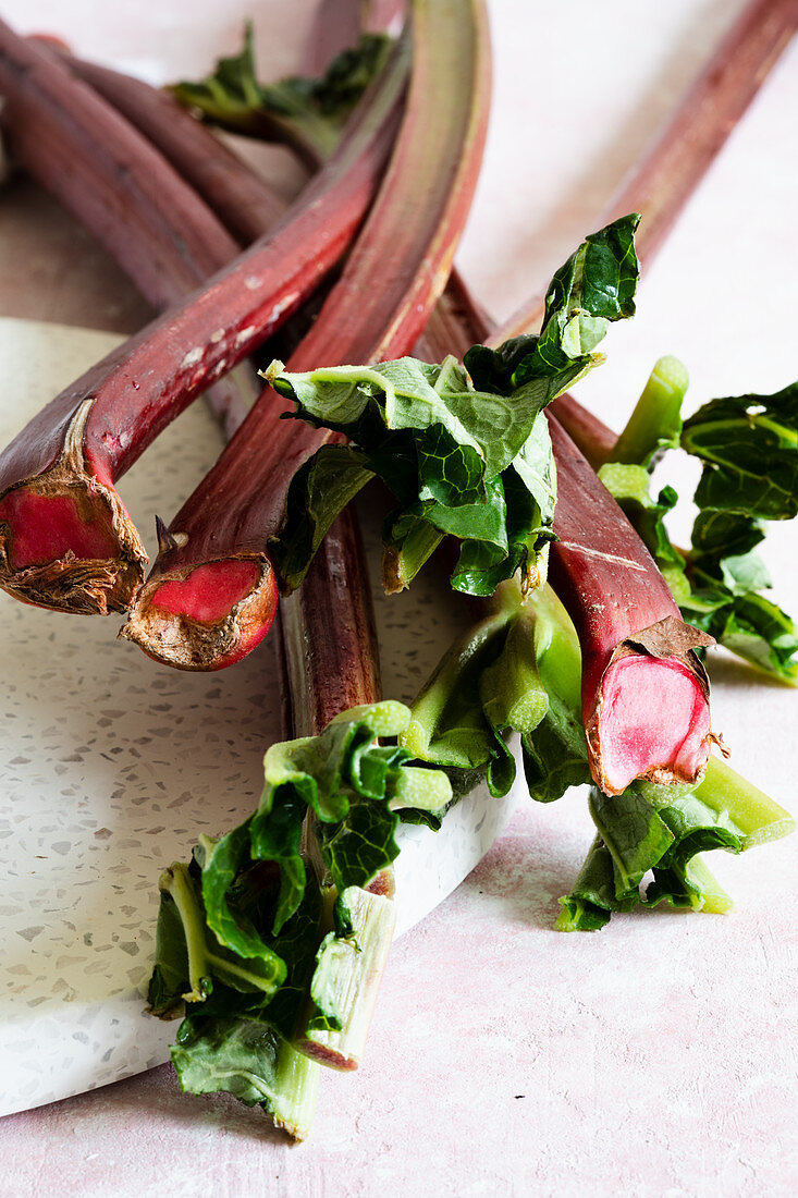 Rhubarb still life