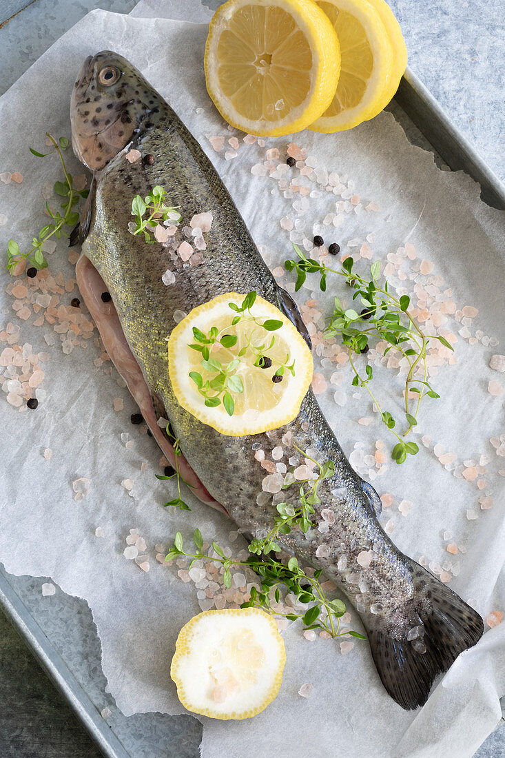 Raw trout with sea salt, herbs and lemon slices on an oven tray