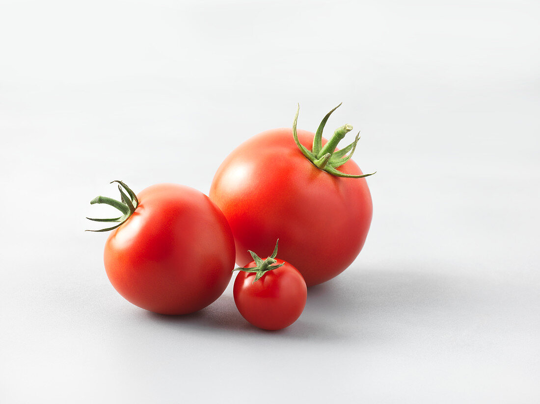 Grosse und kleine Tomaten