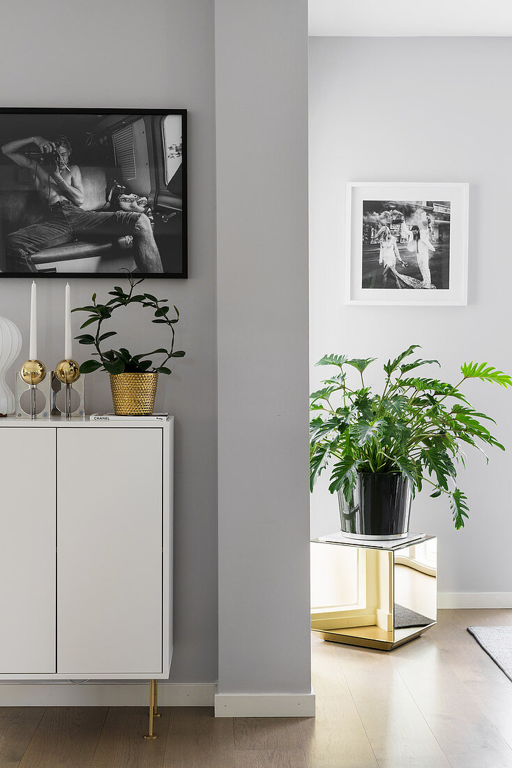 Houseplants on sideboard and on golden cube against grey walls