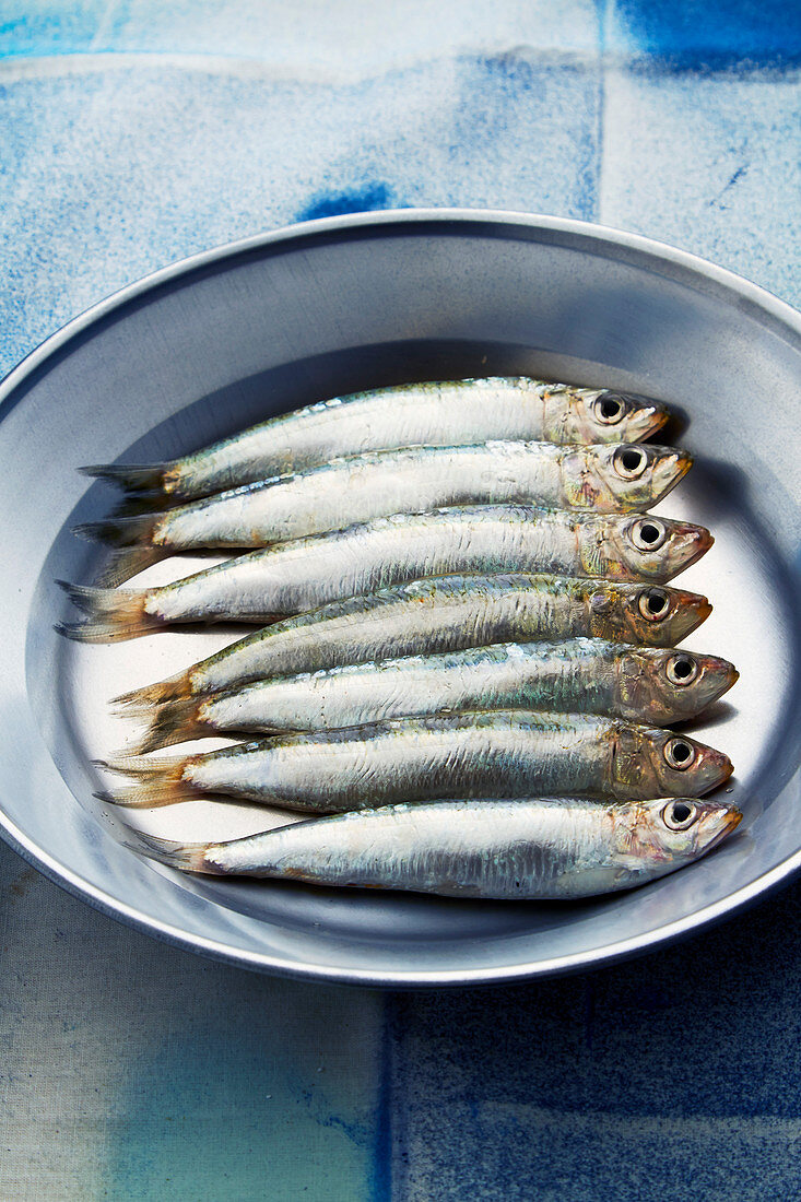 Fresh sardines in a metal bowl