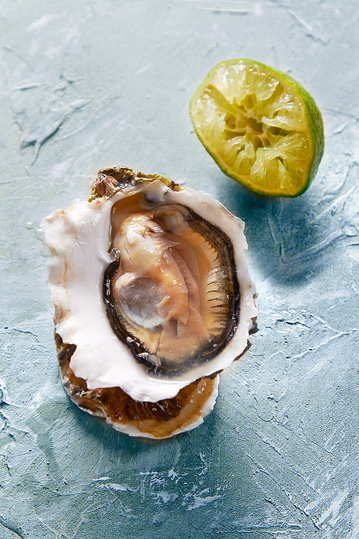 Fresh oyster and lime
