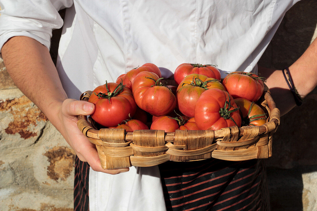 Tasty appetizing tomatoes with green stems in brown straw-plaited basket in hands