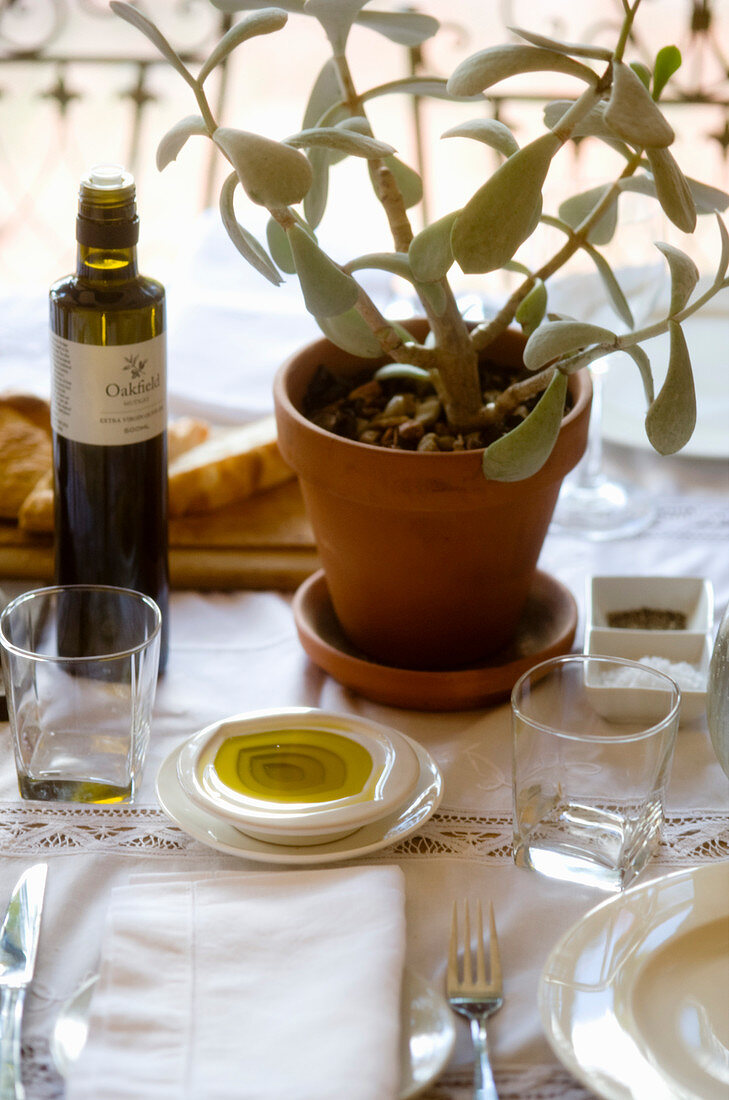 Table set with plant and olive oil