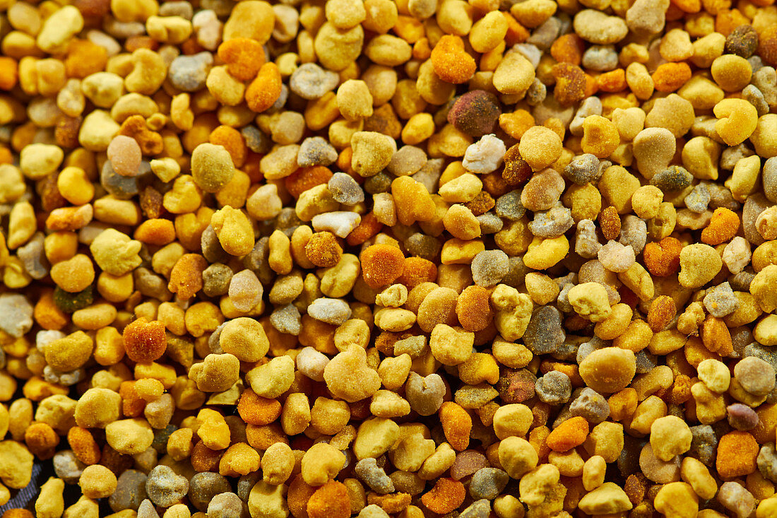 Bee pollen (full picture)