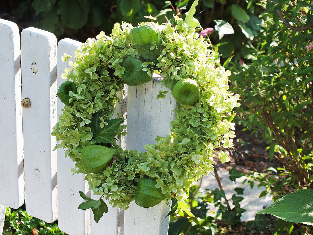 Kranz aus Hortensienblüten und Physalis am Holzzaun