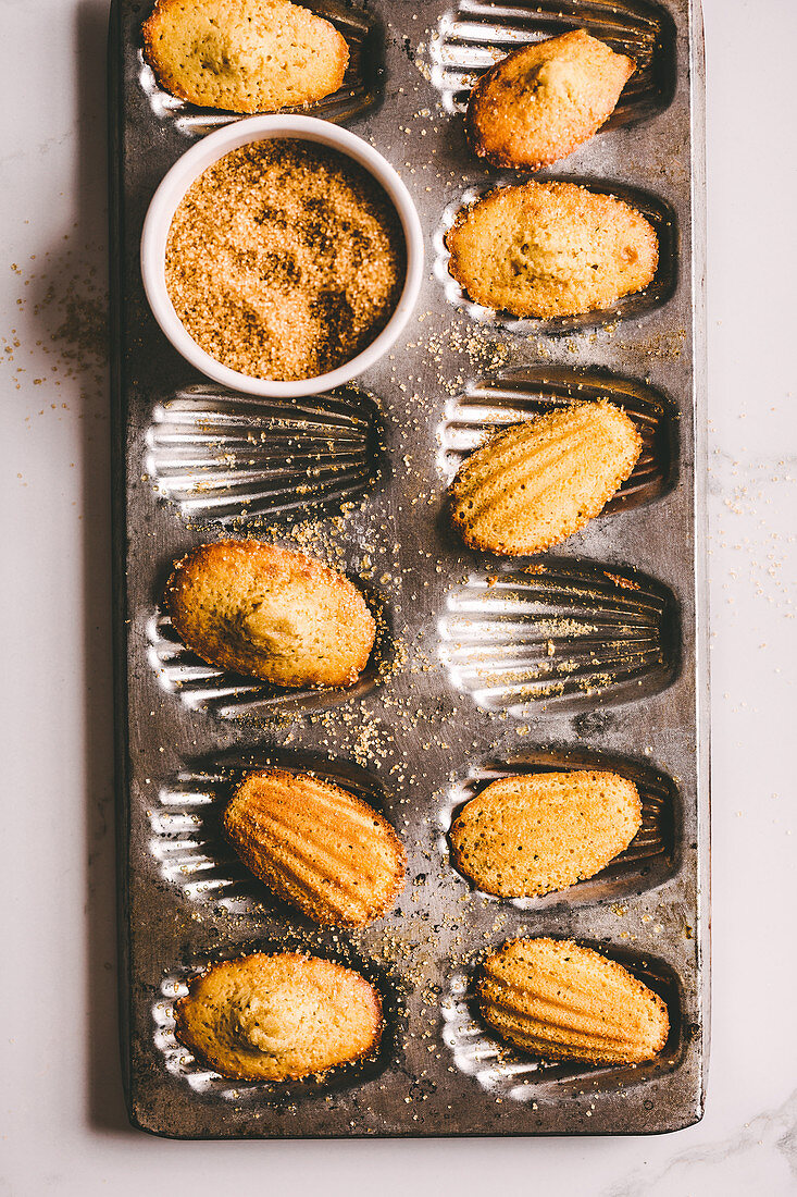 Madeleines with demerara sugar