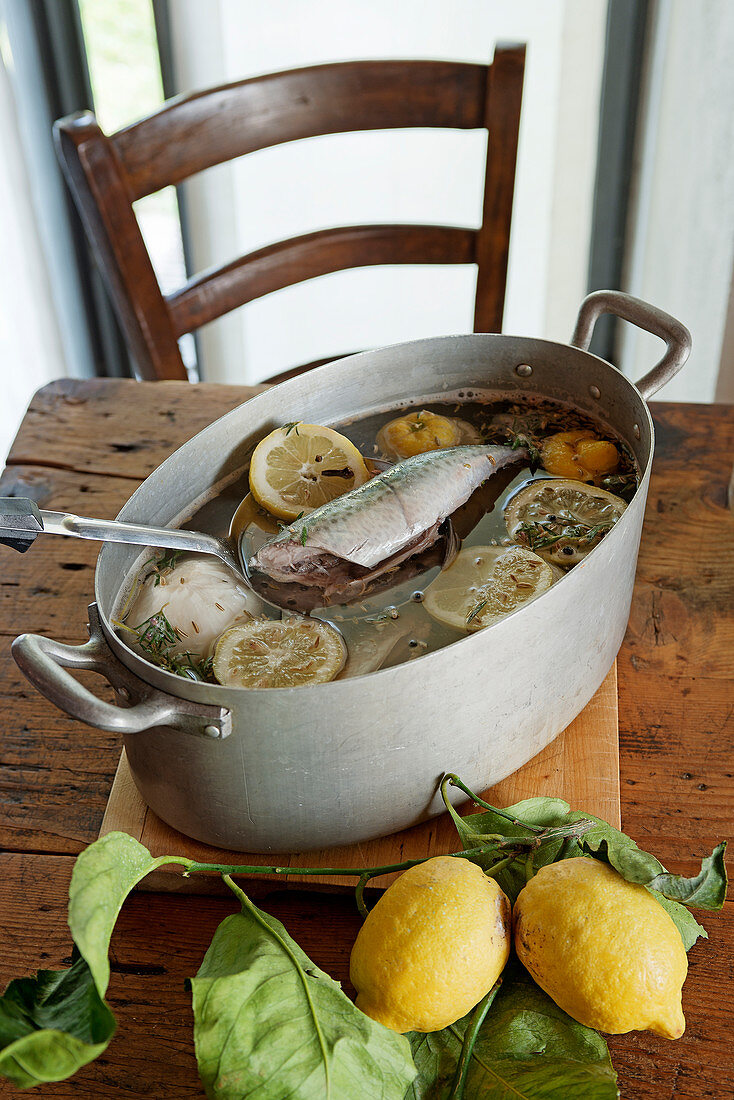 Marinierte Makrelen in Zitronenbrühe mit Fenchel