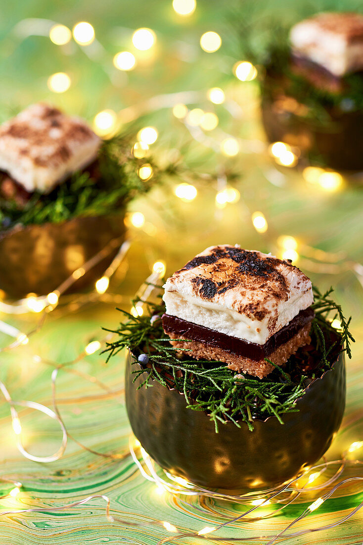 Weihnachtliche S'mores mit Pinienkern-Marshmallows