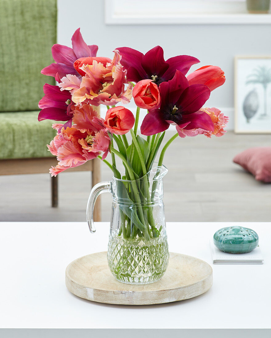 Tulipa bouquet