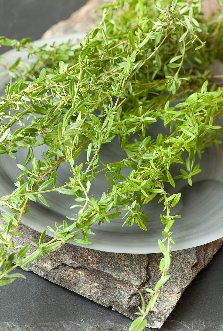 Fresh summer savory