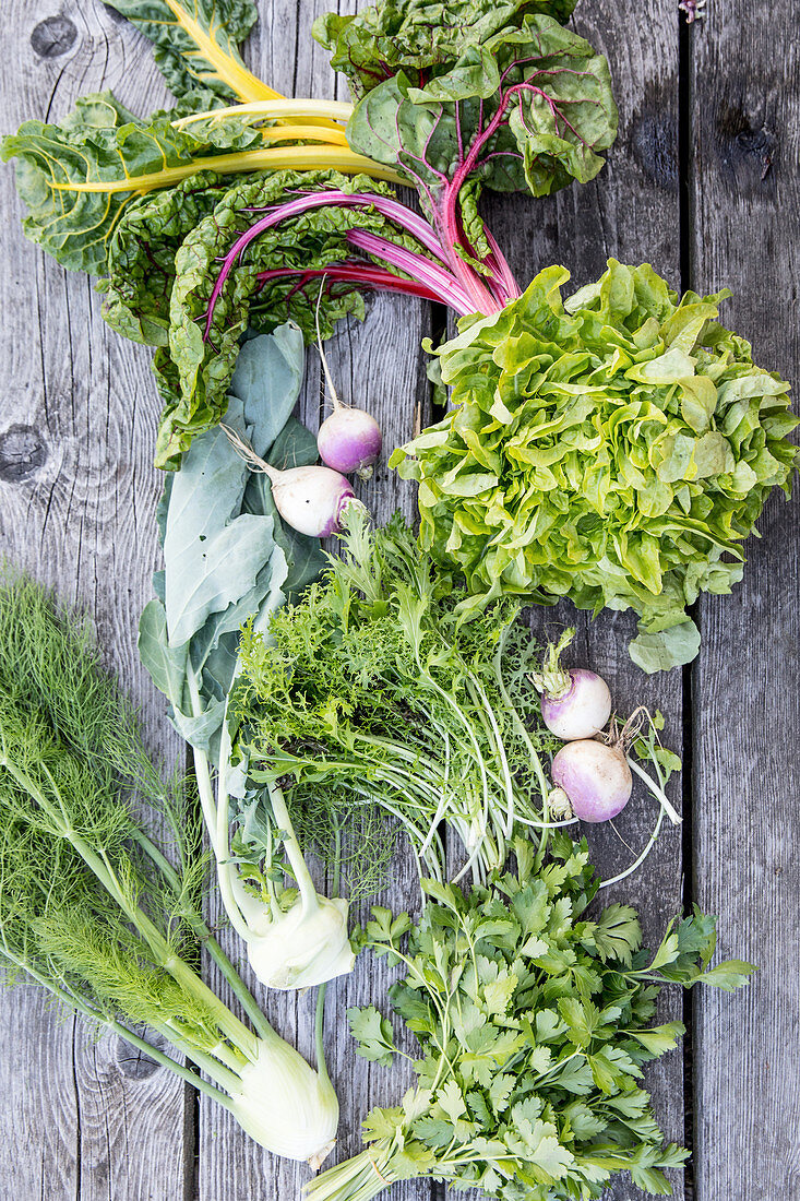 Verschiedenes Gartengemüse, Salat und Kräuter auf Holzuntergrund
