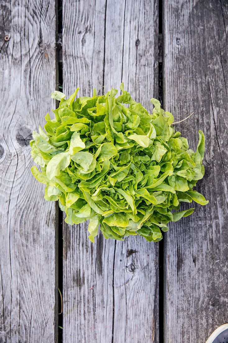 Fresh lettuce on a wooden surface