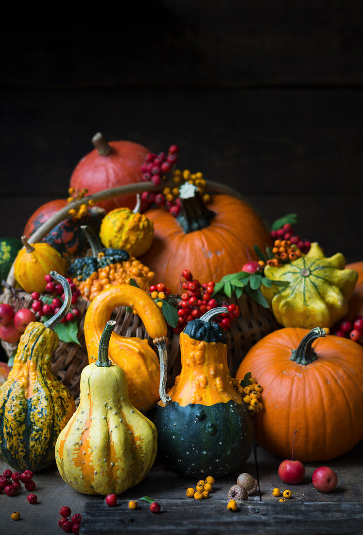 Various squash with autumnal decoration