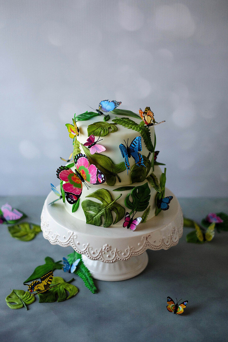 A colourful jungle cake