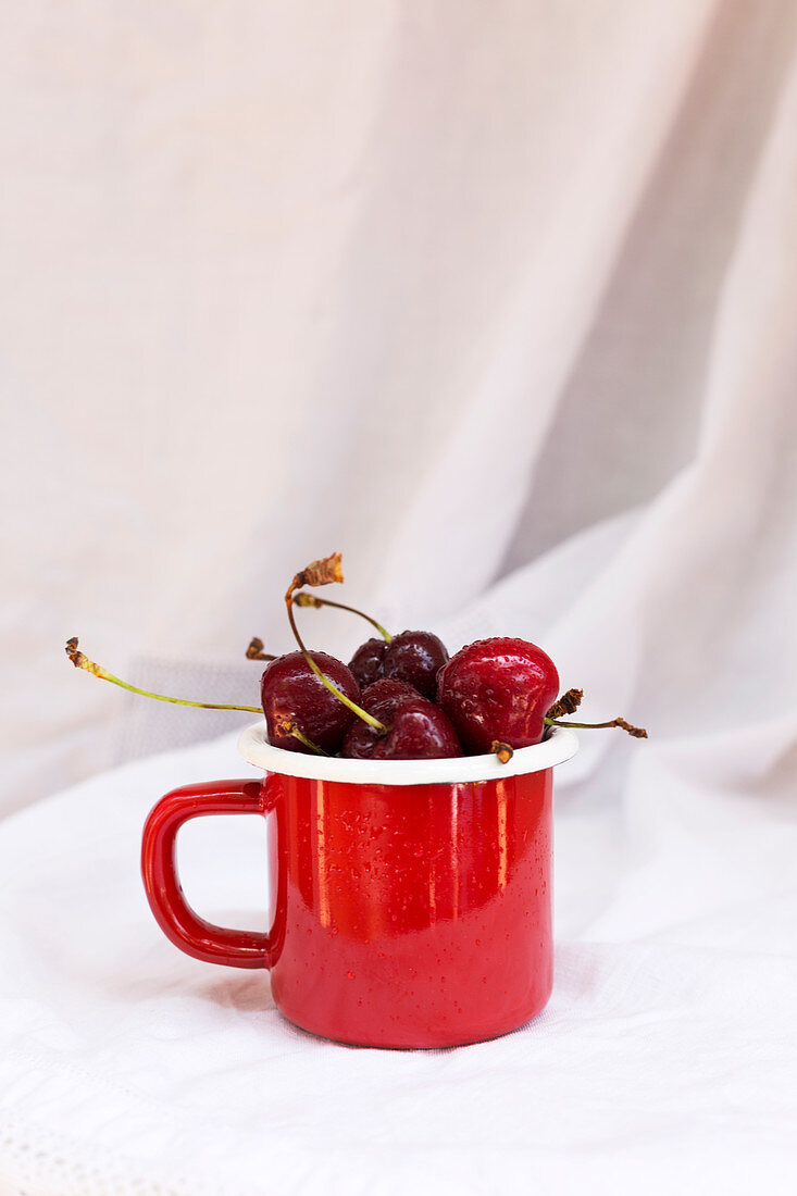 Red mug with wet ripe cherries placed on white fabric