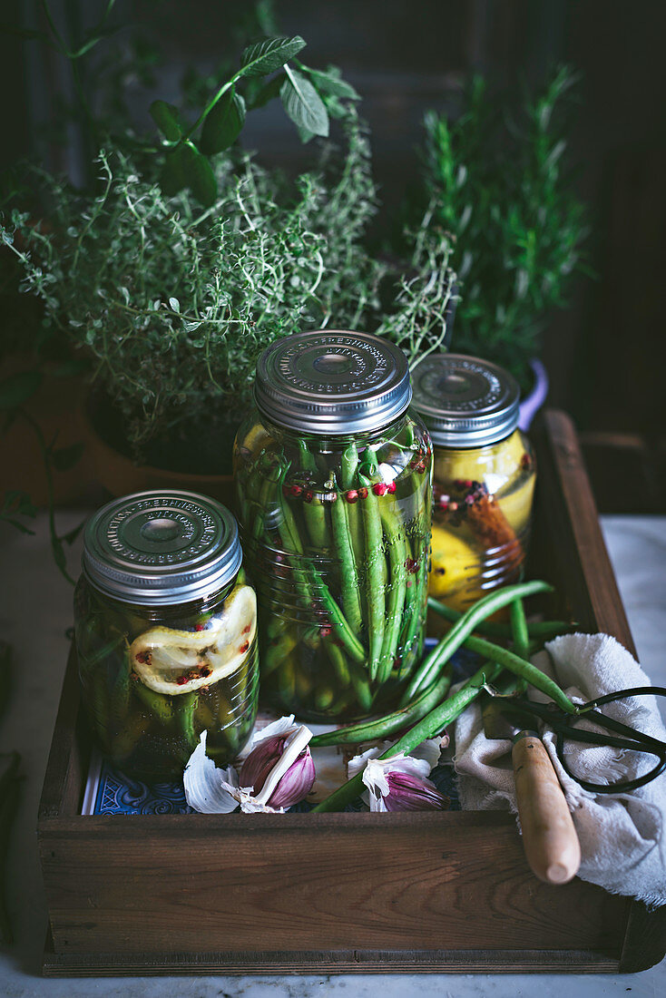 Composition of potted plant, lemons and glass jar with raw green beans in wooden box