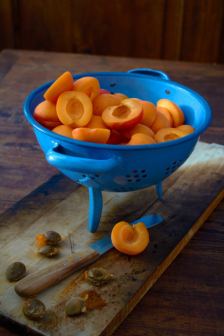 Fresh apricots, whole and pitted in a blue colander