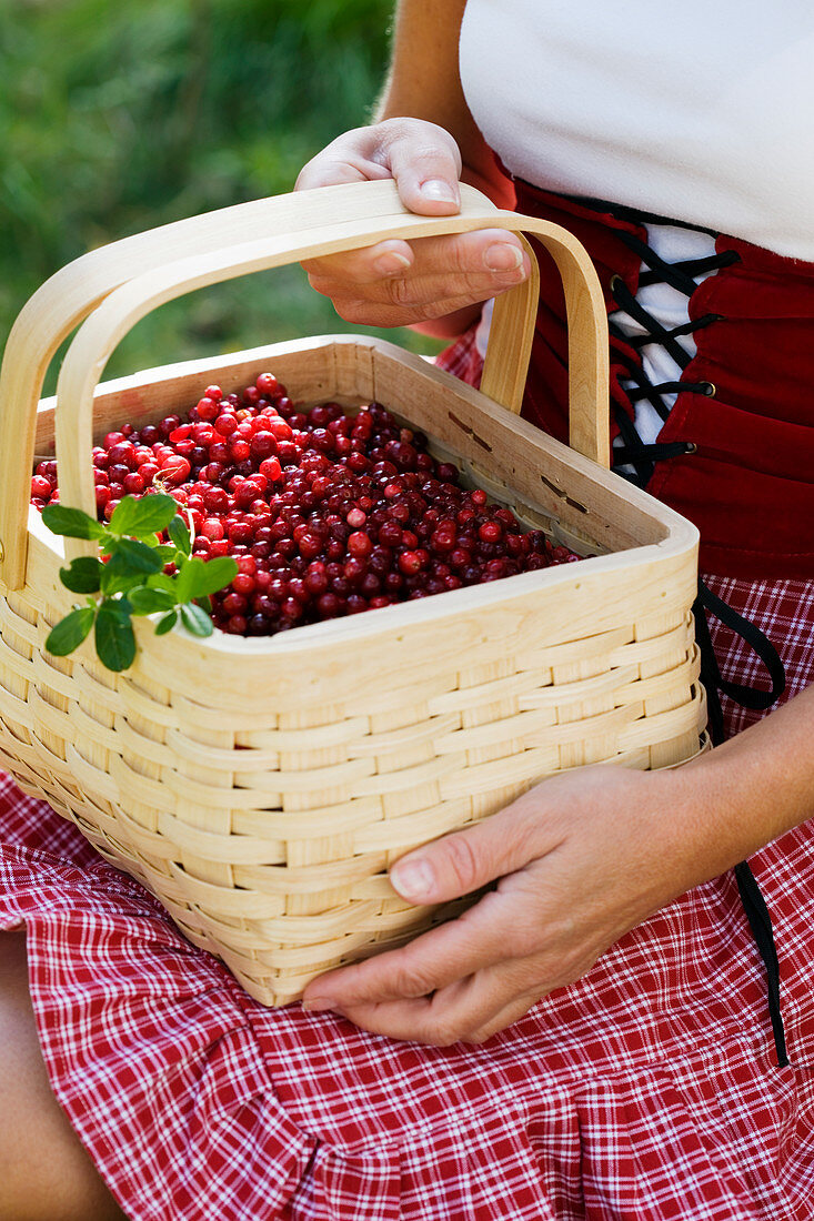 Woman holding basket full of lingonberries