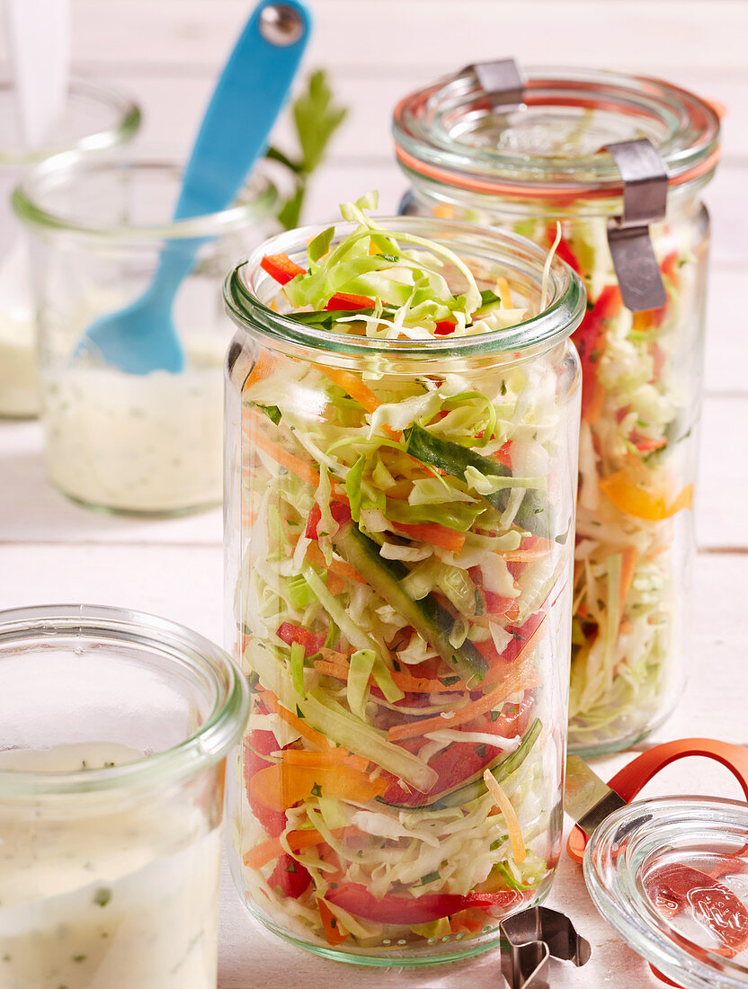 Bunter Krautsalat mit Mayonnaise-Dressing, Spitzkohl, Gurke, Paprika, Karotte und Kräutern