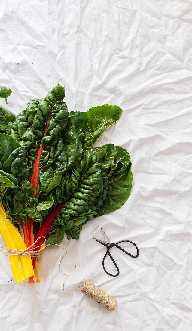 From above bunch of fresh chard placed on wrinkled white cloth near small scissors and thread