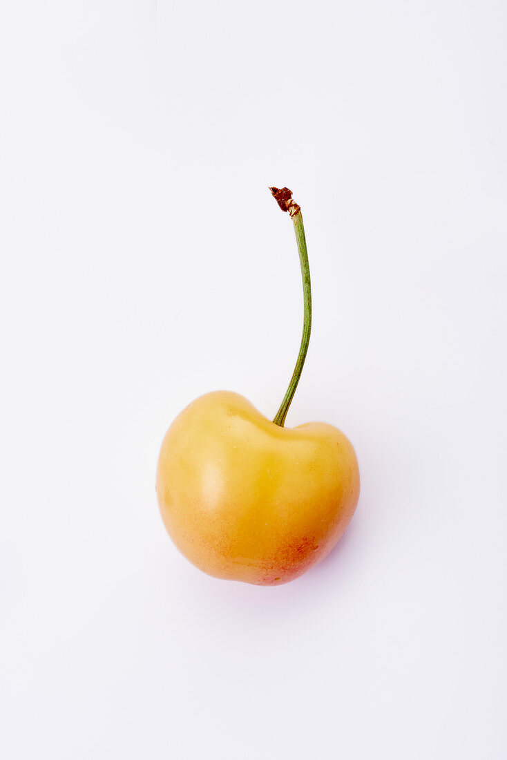 A yellow cherry