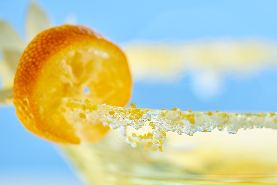 Cocktail im Glas mit Zuckerrand und Kumquat