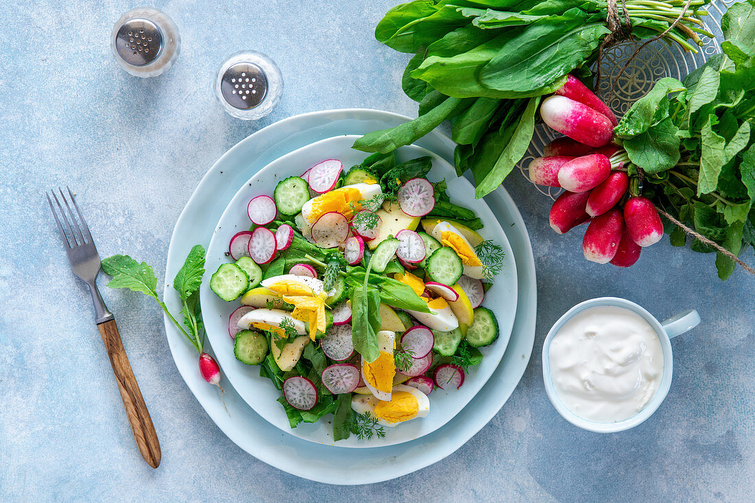 Frühlingssalat mit Radieschen, Gurke und Ei
