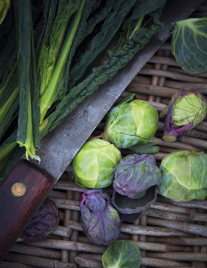 Kale and Brussels sprouts in basket