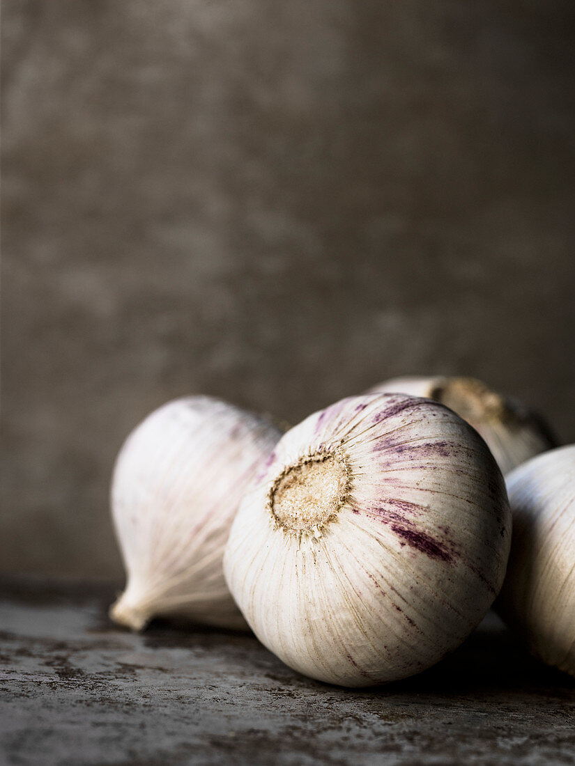Garlic on grey background
