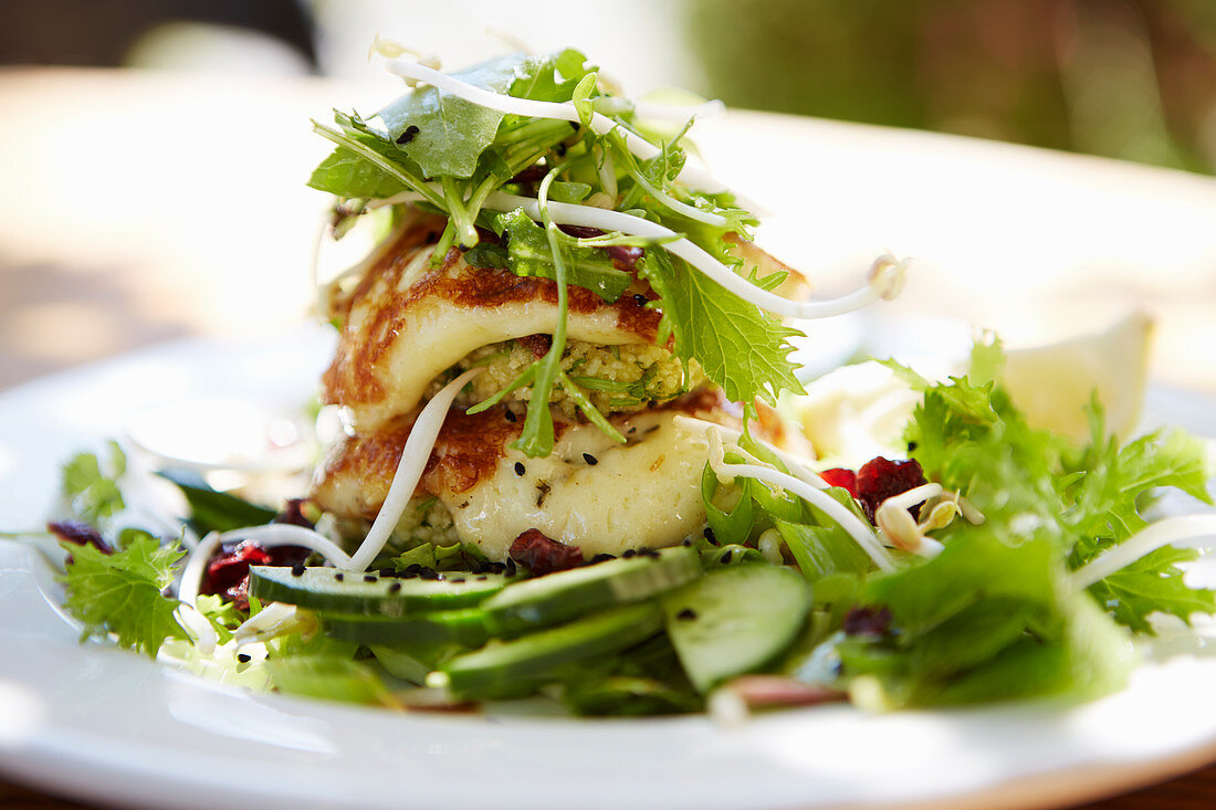 Halloumi with cucumber and herb salad