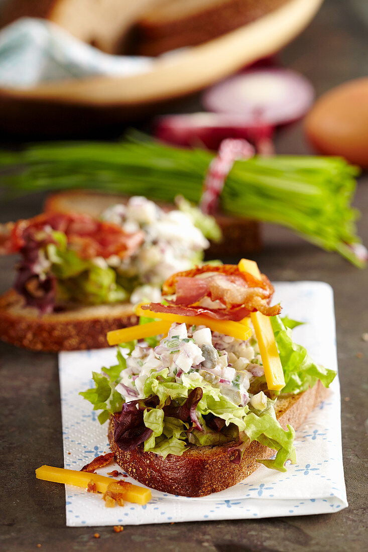Rustikales Bauernbrot mit Eichblatt-Salat, Katenschinken, Ei, Speck und Käse