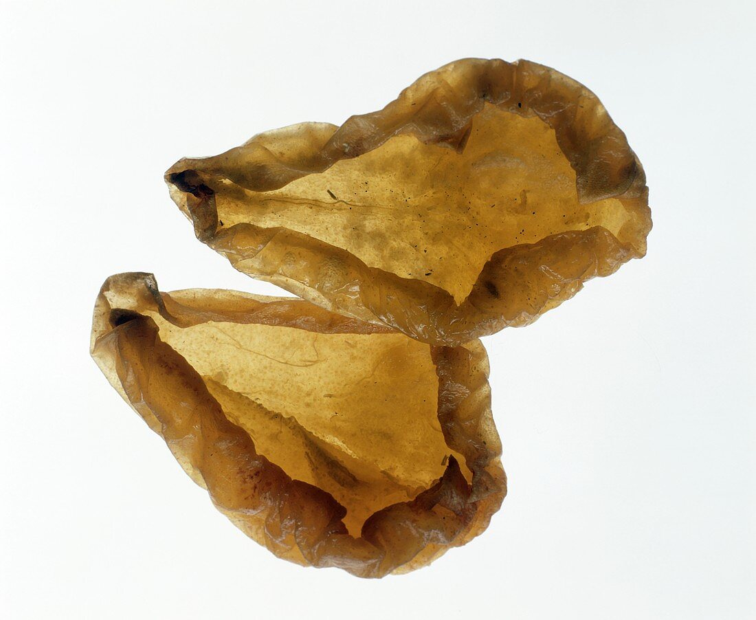 Two Pieces of Dried Pear