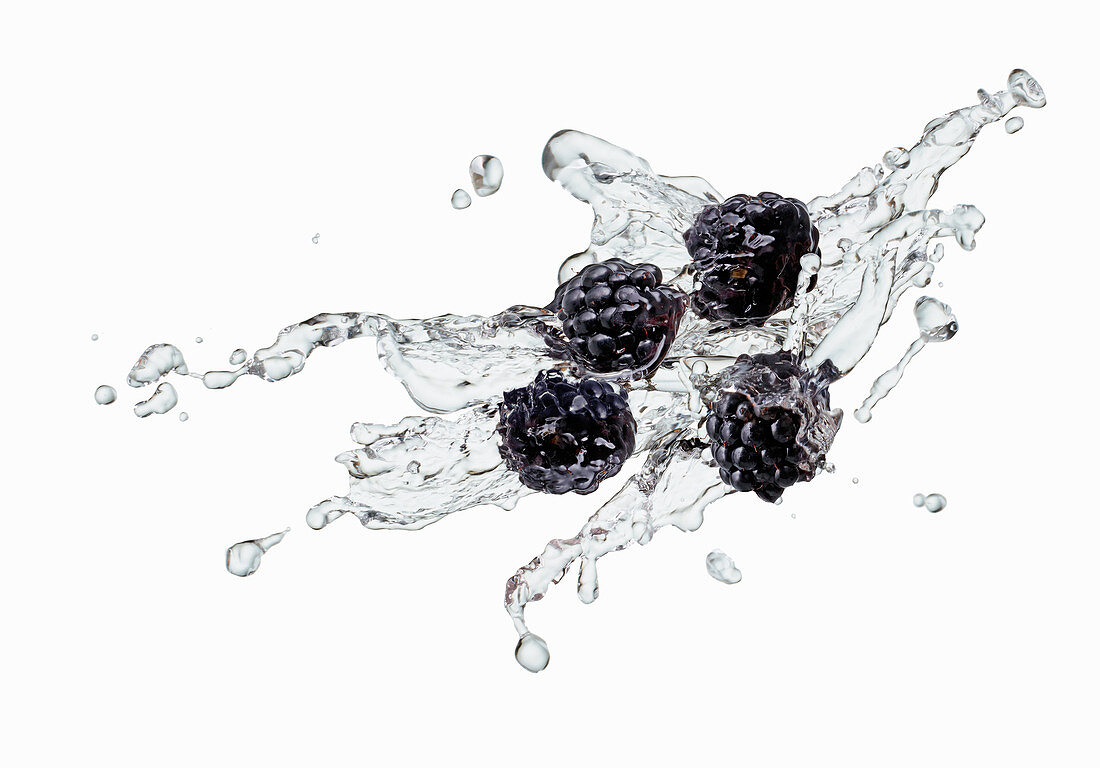 Blackberries with a splash