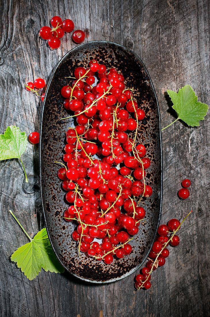 Rote Johannisbeeren in rostiger Schale