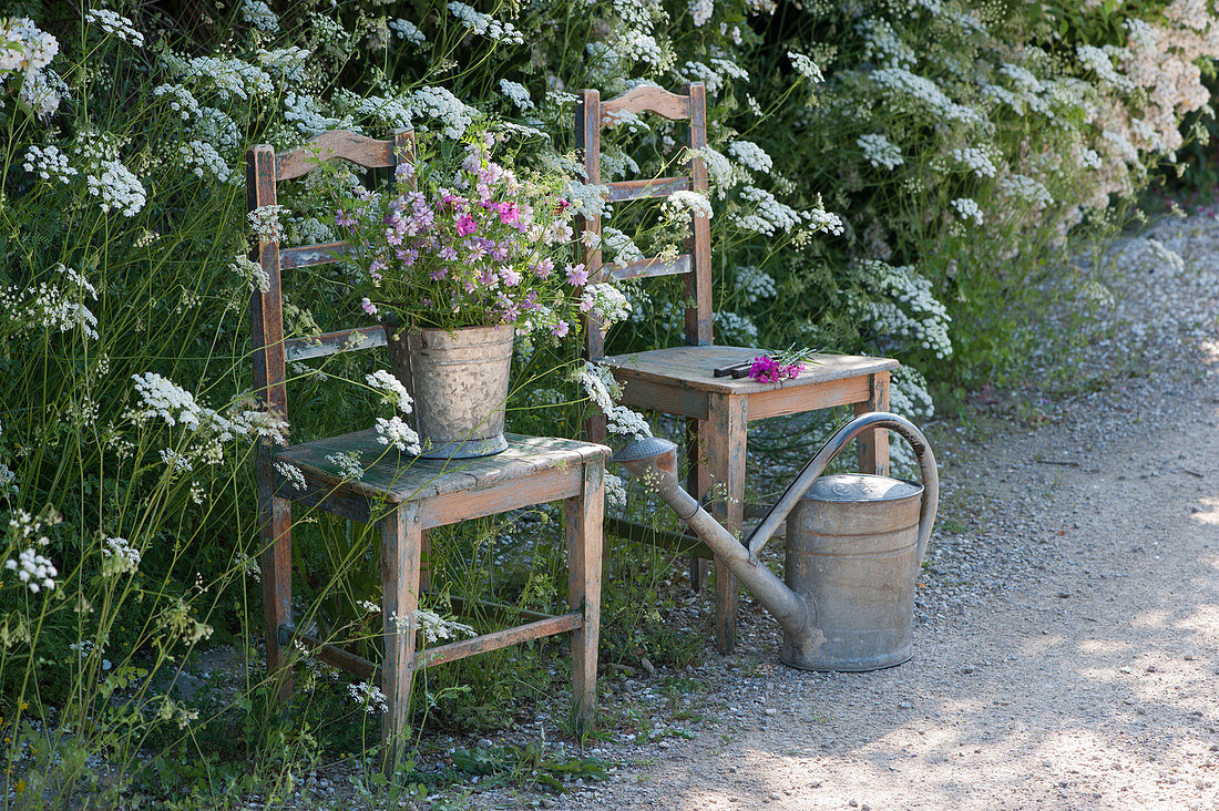 Chairs by the bed with the large Pimpinella, bouquet of wild flowers in zinc buckets