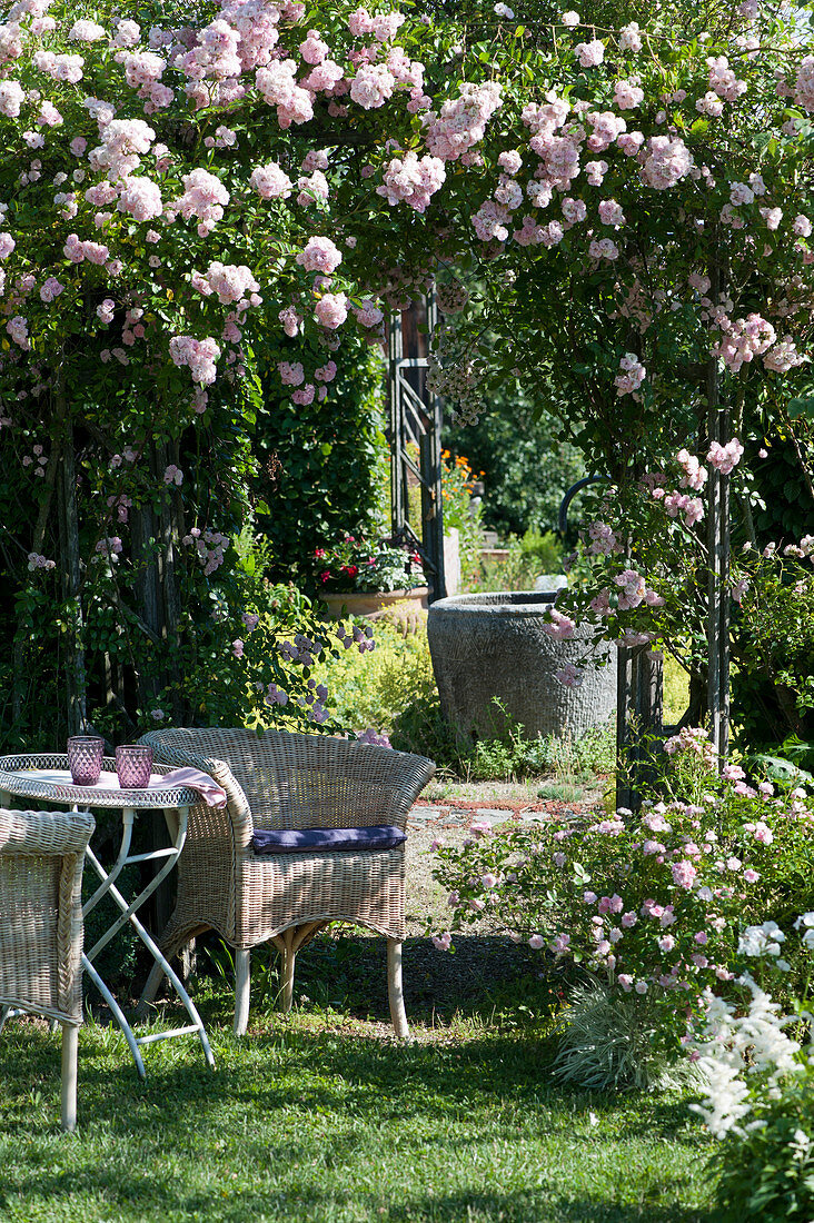 Seat with wicker armchair next to a rose arch with rose 'cherry rose'