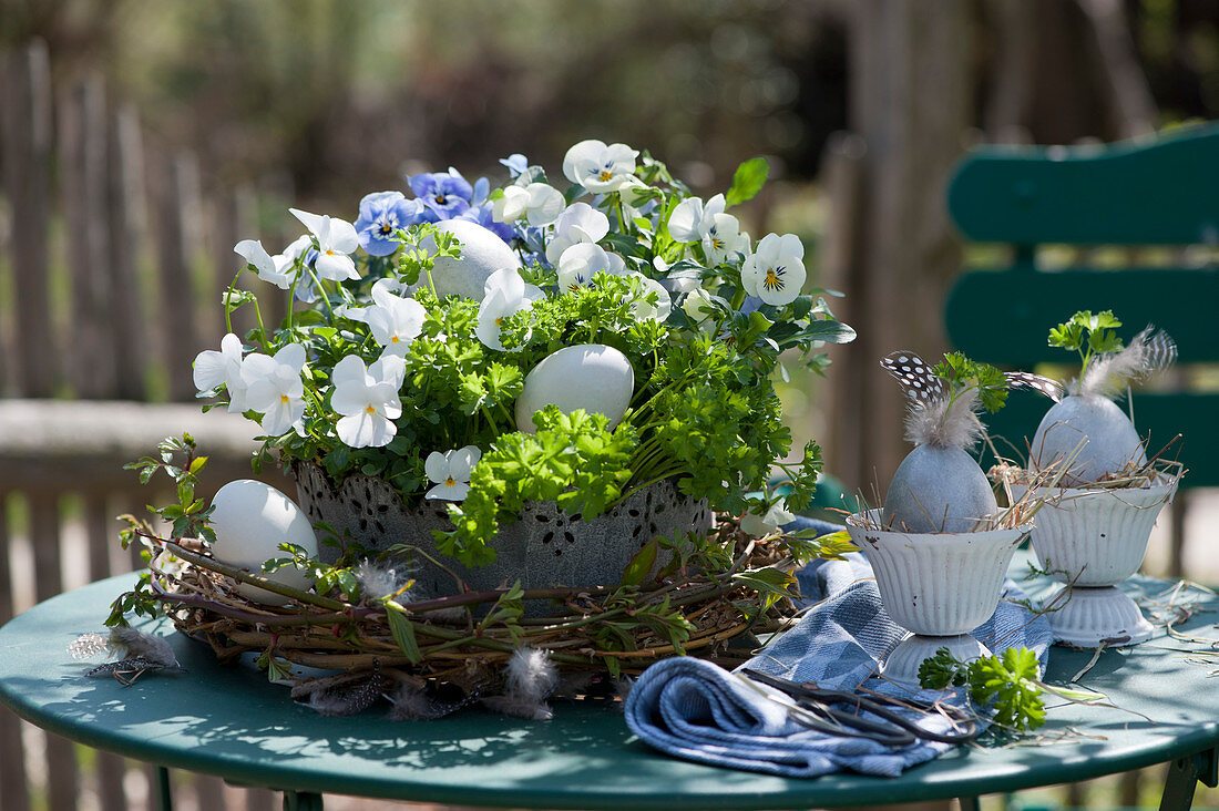 Pot with parsley and horned violets Easter with Easter eggs and wreath of branches