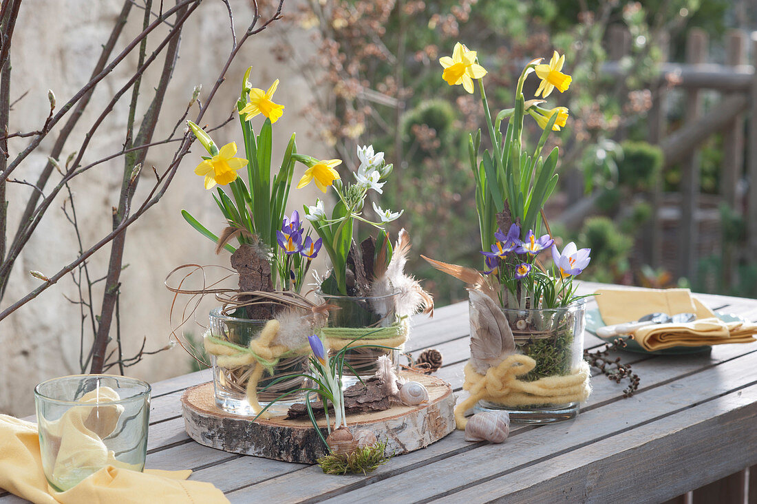Frühlingsdekoration mit Narzissen, Milchstern und Krokus auf Birkenholz-Scheibe